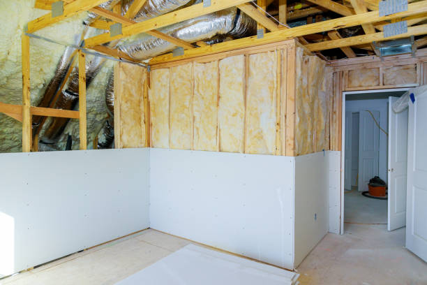 Eco-Friendly Insulation Solutions in Princeton, IL